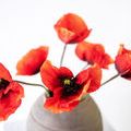 Product Image 6 for Ida Poppies - 27", Bundle of 6 from Napa Home And Garden