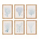 Product Image 1 for Sea Fan And Coral Study In Blue from Napa Home And Garden