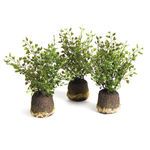 Product Image 2 for Maidenhair Drop-ins, Set Of 3 from Napa Home And Garden