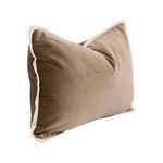 Product Image 2 for The Not So Basic 20" Essential Lumbar Pillow, Set of 2 Caramel Velvet from Essentials for Living
