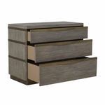 Product Image 4 for Gillespie Chest from Gabby