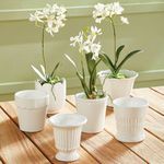 Product Image 2 for Mirabelle Mini Cachepots, Set Of 6 from Napa Home And Garden