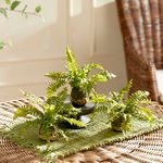 Product Image 3 for Boston Fern Drop-ins, Set Of 3 from Napa Home And Garden