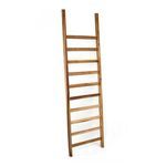 Product Image 1 for Nora Ladder from Texxture