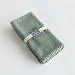 Product Image 5 for Vanna Napkins, Set Of 4 from Napa Home And Garden