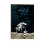 Product Image 6 for There's A Lack Of Color Here By Getty Im from Four Hands