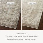 Product Image 2 for Sonnet Grey / Sage Rug from Loloi