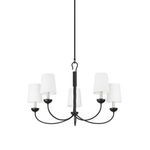 Product Image 1 for Montpelier Chandelier from Hudson Valley