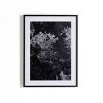 Product Image 1 for Tree Gaze I By Coup D'esprit, Framed Landscape Photography from Four Hands