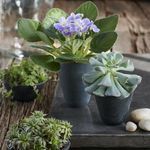 Product Image 2 for Maya Stone Pot from Texxture