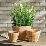 Product Image 2 for Cane Rattan Mini Round Tapered Baskets, Set Of 3 from Napa Home And Garden