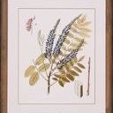 Product Image 1 for Leaves Of Lace II from Shadow Catchers