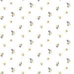 Product Image 1 for Miniature Roses Black & Gold Premium Matte Wallpaper from Mitchell Black