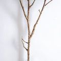 Product Image 2 for Eloisa Blossom Branch - 54", Single from Napa Home And Garden