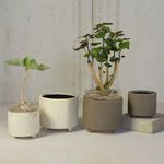 Product Image 5 for Simon Footed Planter, Ceramic, White / Matte White from Homart