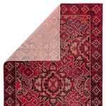 Product Image 4 for Chaya Indoor/ Outdoor Medallion Red/ Black Rug from Jaipur