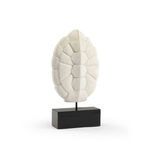 Product Image 1 for Turtle Shell Decorative Item from Wildwood Home