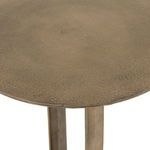 Product Image 18 for Douglas Aged Bronze End Table from Four Hands