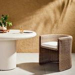 Product Image 28 for Tucson Light Woven Outdoor Dining Armchair from Four Hands