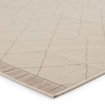 Product Image 4 for Almasi Indoor/ Outdoor Trellis Beige/ Dark Taupe Rug from Jaipur
