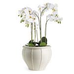 Product Image 2 for Positano Grande Cachepot from Napa Home And Garden