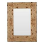 Product Image 8 for Saul Mirror from Gabby