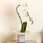 Product Image 11 for Bloom White Glass Vessels from Jamie Young