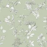 Product Image 3 for Laura Ashley Elderwood Sage Botanicals, Florals & Birds Wallpaper from Graham & Brown