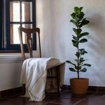 Product Image 3 for Brooklyn 50"x70" Ivory Cotton Striped Throw from Under the Bough