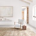 Product Image 1 for Theia Taupe / Gold Rug from Loloi