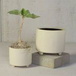 Product Image 6 for Simon Footed Planter, Ceramic, White / Matte White from Homart