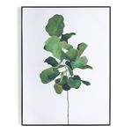 Product Image 4 for Fiddle Leaf Fig By Jess Engle from Four Hands