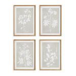 Product Image 1 for Foliage Study, Set Of 4 from Napa Home And Garden