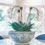 Product Image 6 for Blue & White Porcelain Bowl Twisted Flower Motif from Legend of Asia