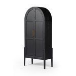 Product Image 1 for Tolle Arched Black Two-Door Cabinet from Four Hands
