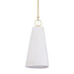 Product Image 1 for Dryden 1-Light Pendant - Aged Brass from Hudson Valley