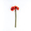 Product Image 1 for Ida Poppies - 27", Bundle of 6 from Napa Home And Garden
