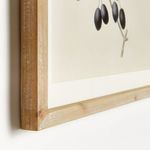 Product Image 2 for Olive Stems Study, Set Of 4 from Napa Home And Garden