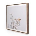 Product Image 11 for In The Details I By Annie Spratt from Four Hands