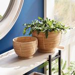 Product Image 2 for Cane Rattan Decorative Footed Bowls, Set Of 2 from Napa Home And Garden