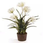 Product Image 2 for Agapanthus Drop-In from Napa Home And Garden