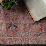 Product Image 18 for Pippa Medallion Pink / Light Blue Area Rug from Jaipur