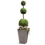 Product Image 1 for Boxwood Triple Ball Topiary In Grower's Pot 96" from Napa Home And Garden
