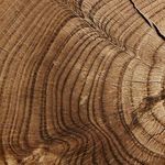 Product Image 4 for Montero Bowl from Four Hands