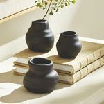 Product Image 4 for Tabitha Bud Vases from Napa Home And Garden