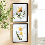 Product Image 3 for X-ray Botanical Prints, Set Of 2 from Napa Home And Garden