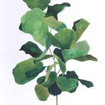 Product Image 5 for Fiddle Leaf Fig By Jess Engle from Four Hands