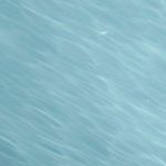 Product Image 3 for Dottie Table Lamp from Jamie Young