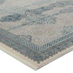 Product Image 2 for Beaumont Transitional Trellis Blue/ Tan Rug - 6'3" x 9'6" from Jaipur