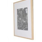 Product Image 2 for Floral Film I Framed Black and White Photograph by Annie Spratt from Four Hands